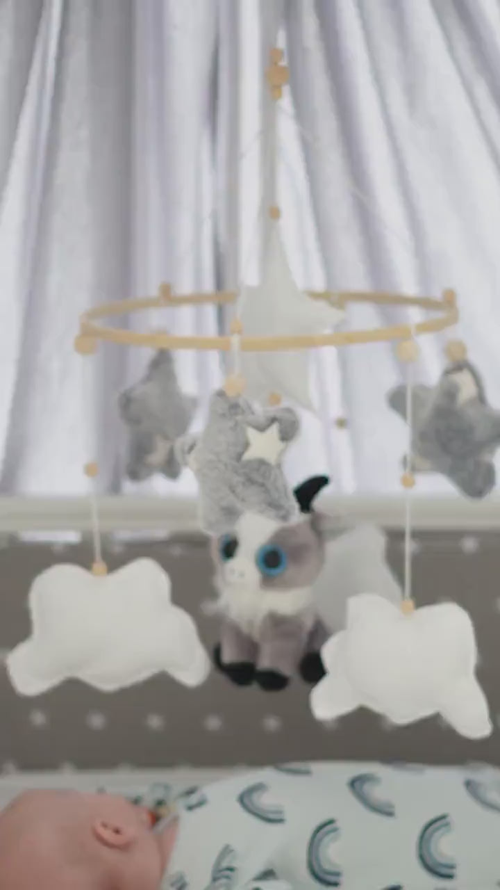 Baby mobile capricorn