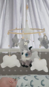 Baby mobile capricorn