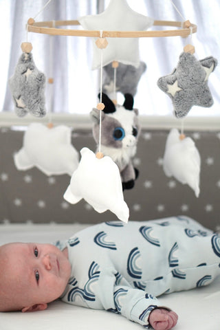 Baby mobile capricorn