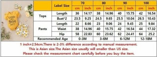 Newborn Baby Girls Clothes Floral Romper Tops Short Pants Headband Outfits Set